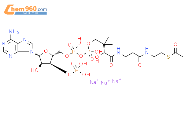Acetyl coenzyme A sodium salt
