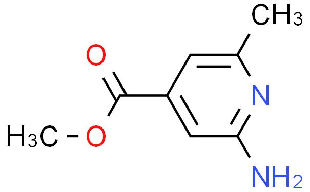 methyl 2-amino-6-methylisonicotinate