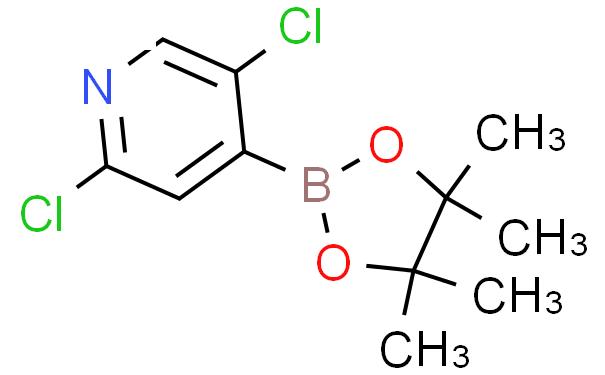 2,5-二氯吡啶-4-硼酸频哪酯