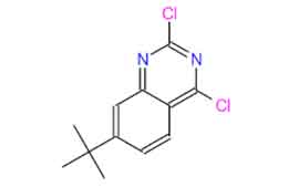 7-tert-butyl-2,4-dichloroquinazoline