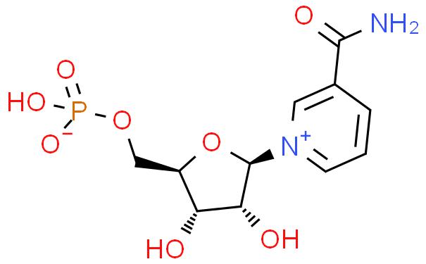 β-Nicotinamide Mononucleotide