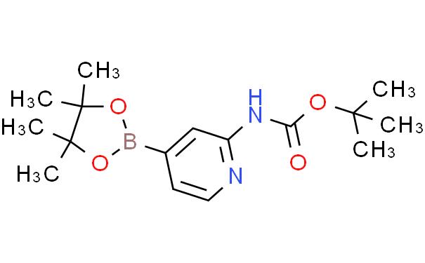 2-(叔丁氧基羰基氨基)吡啶-4-硼酸频那醇酯