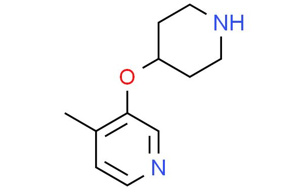 4-methyl-3-(piperidin-4-yloxy)pyridine