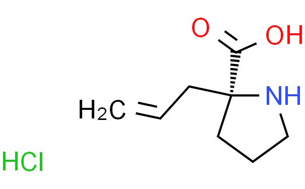 (S)-α-烯丙基脯氨酸 盐酸盐