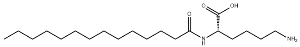 6-Amino-2-tetradecanamidohexanoic acid