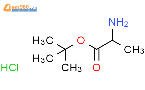 L-Ala-OtBU.HCl