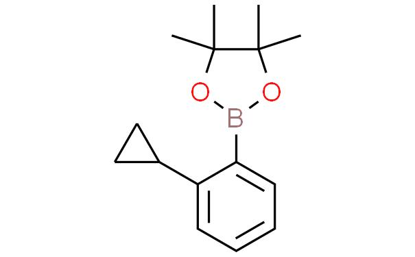 2-(2-环丙基苯基)-4,4,5,5-四甲基-1,3,2-二氧杂硼烷