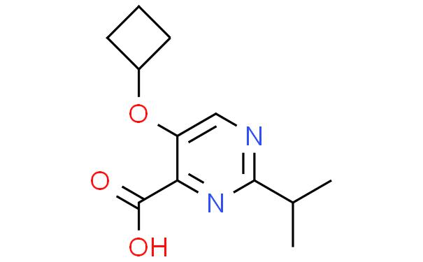 5-环丁氧基-2-(丙-2-基)嘧啶-4-羧酸