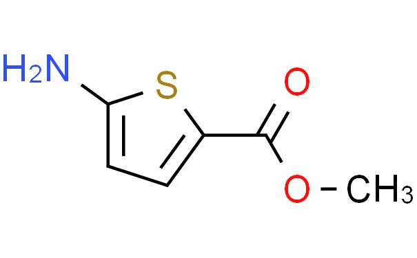 5-氨基-噻吩-2-甲酸甲酯