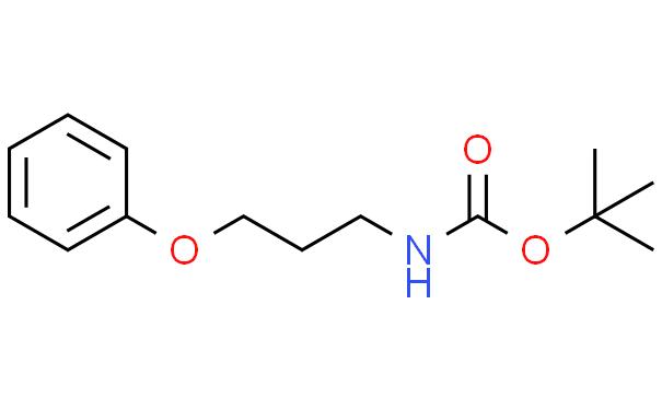 叔-丁基 (3-苯氧基丙基)氨基甲酯