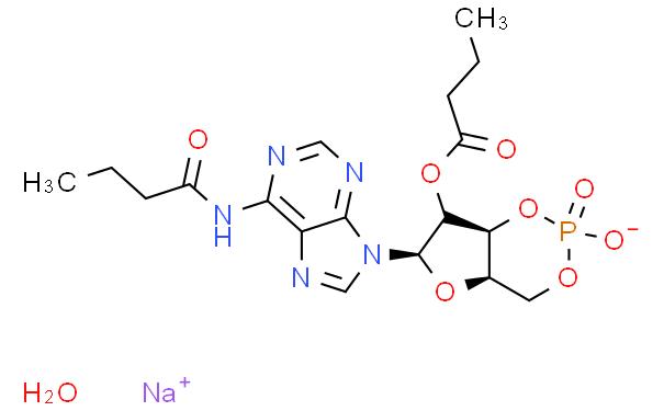 N6,2'-O-Dibutyryladenosine 3',5'-cyclic monophosphate sodium salt