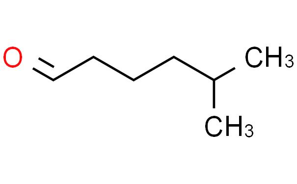 5-Methylhexanal