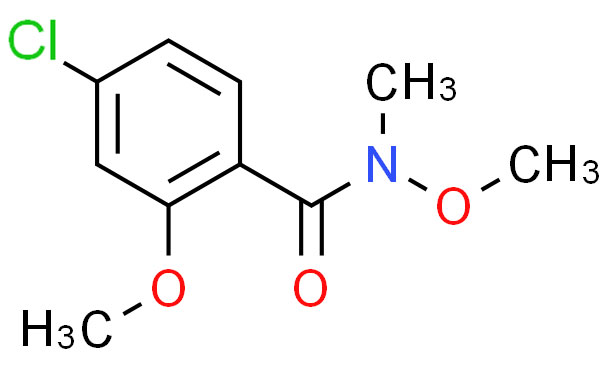 4-氯-N，2-二甲基-N-甲基苯酰胺