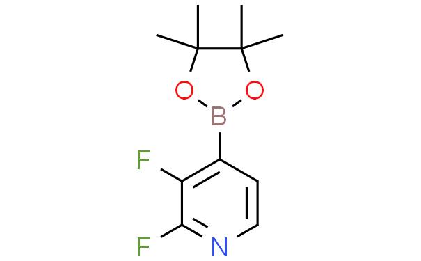 2,3-difluoro-4-(4,4,5,5-tetraMethyl-1,3,2-dioxaborolan-2-yl)pyridine
