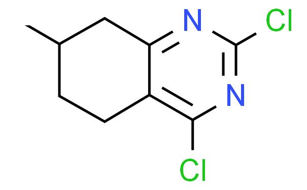 2,4-dichloro-7-methyl-5,6,7,8-tetrahydroquinazolin e