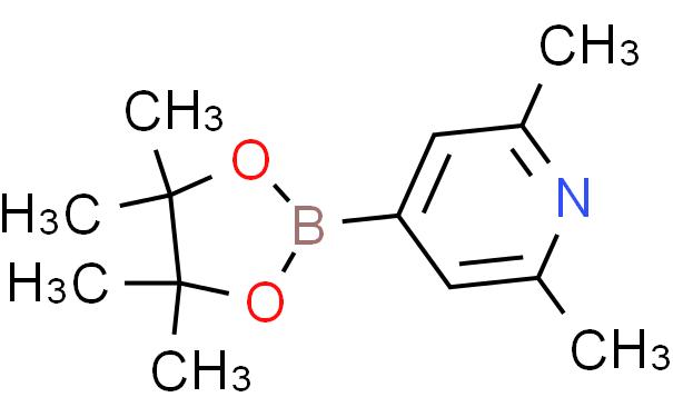 2,6-DIMETHYLPYRIDINE-4-BORONIC ACID, PINACOL ESTER