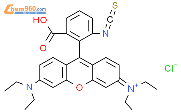 RHODAMINE B ISOTHIOCYANATE