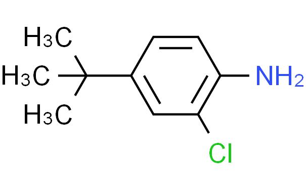 4-(tert-Butyl)-2-chloroaniline