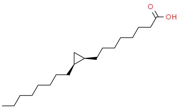 CIS-9,10-METHYLENEOCTADECANOIC ACID
