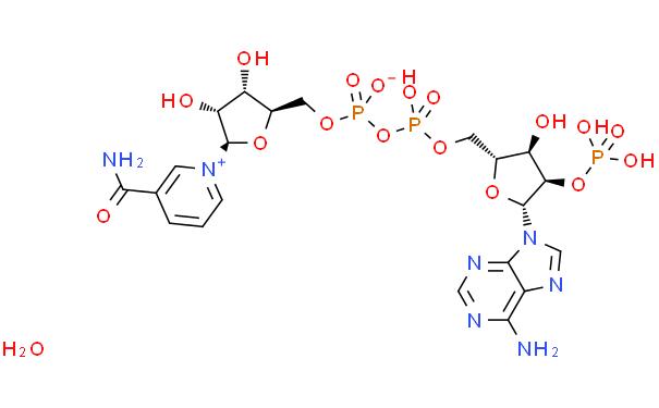 Triphosphopyridine nucleotide