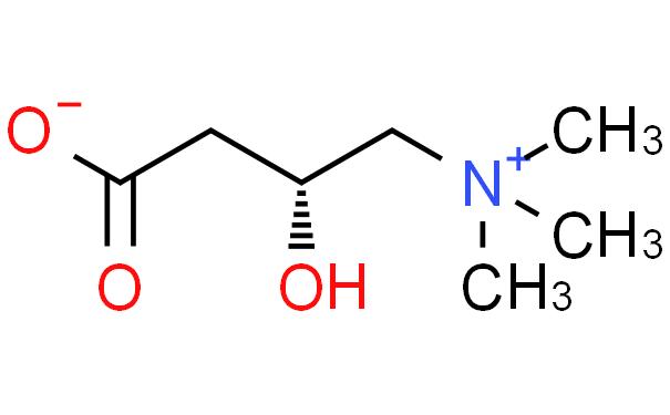 左旋肉碱