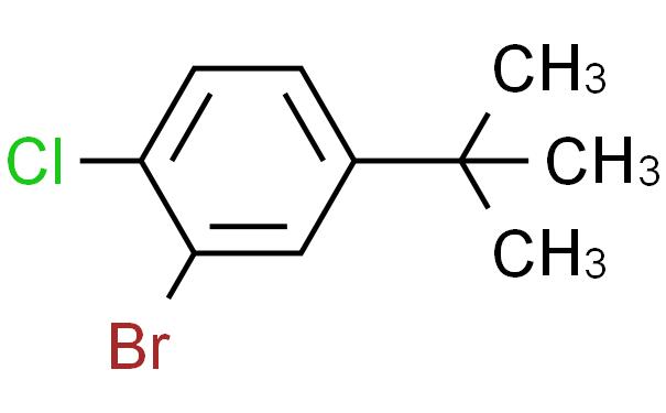 2-Bromo-4-tert-butyl-1-chlorobenzene