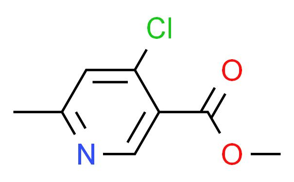 4-CHLORO-6-METHYL-NICOTINIC ACID METHYL ESTER