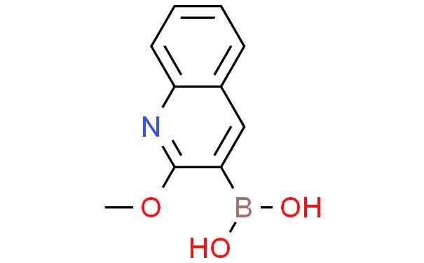 2-甲氧基喹啉-3-硼酸