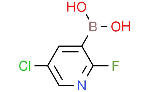 5-氯-2-氟砒啶-3-硼酸