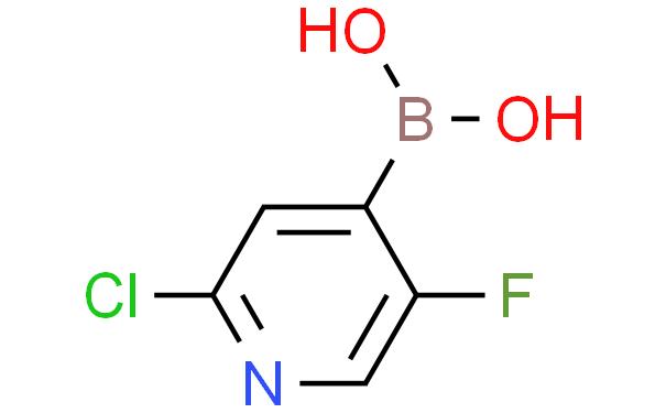2-氯-5-氟吡啶-4-硼酸